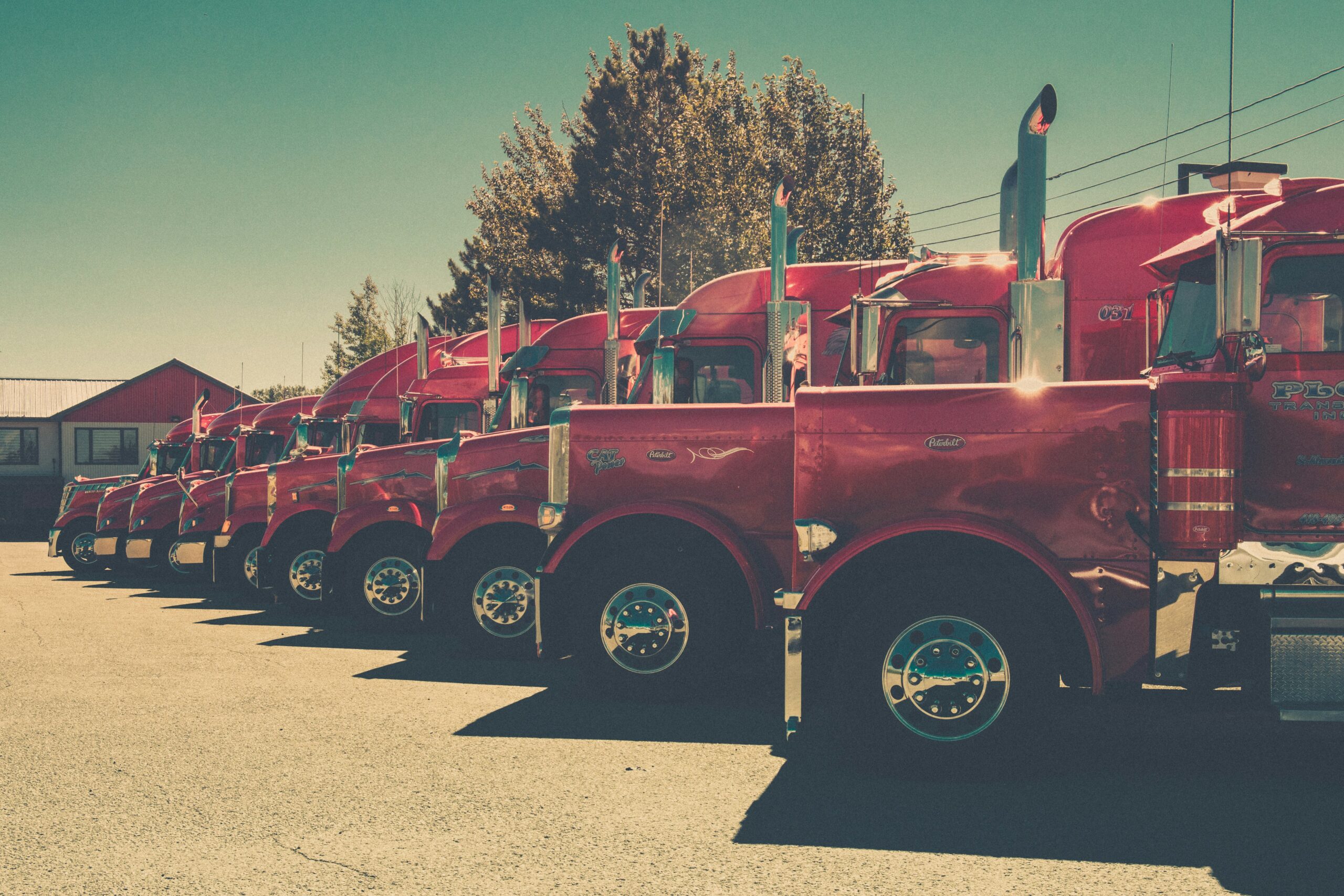 Lisa Steed Women in Trucking