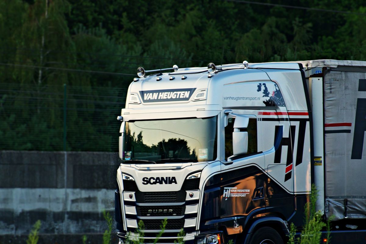 lisa steed logistics